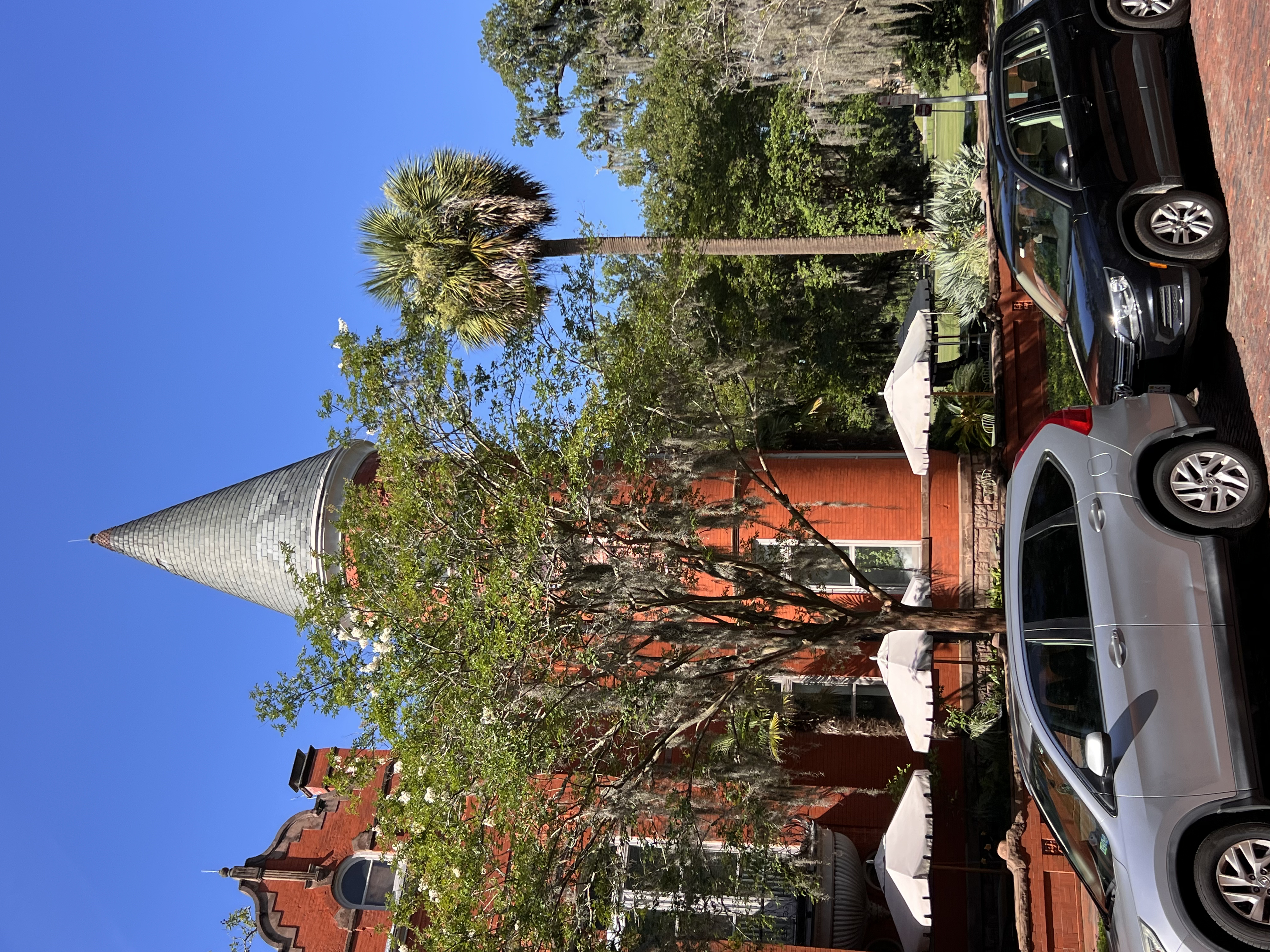 ./2025/06 - Savannah/IMG_1127.jpg